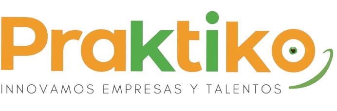 praktiko logo